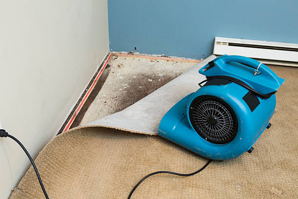 Best Flood restoration services  in Lyndon, KS